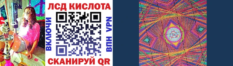мориарти наркотические препараты  даркнет сайт  Тюкалинск  Марки N-bome 1,8мг  блэк спрут сайт 