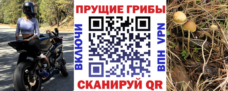 как найти закладки  ОМГ ОМГ   Псилоцибиновые грибы Psilocybine cubensis  Тюкалинск 
